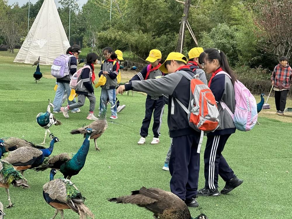 e0ae717080364b7980628adf75f7c0af.jpg e0ae717080364b7980628adf75f7c0af.jpg